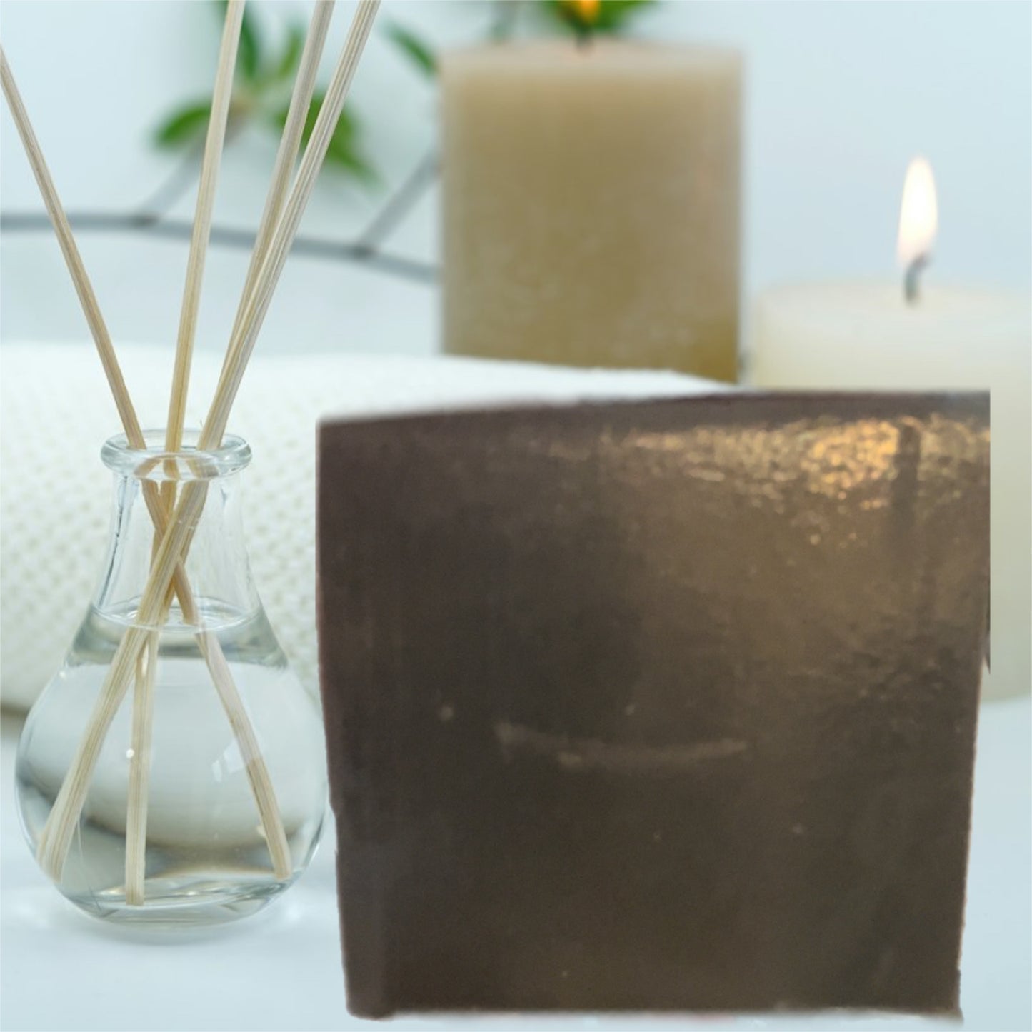 Charcoal Detox Face & Body Soap